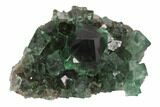 Fluorite Crystal Cluster - Rogerley Mine #94535-2